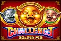 Challenge golden Pig